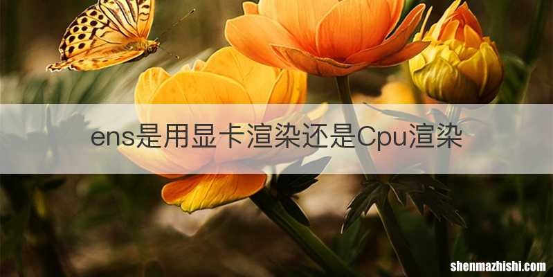 ens是用显卡渲染还是Cpu渲染