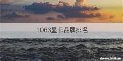 1063显卡品牌排名