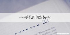 vivo手机如何安装otg