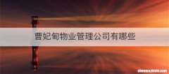 曹妃甸物业管理公司有哪些