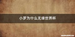 小罗为什么无缘世界杯