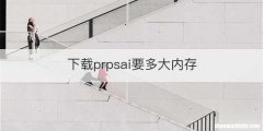下载prpsai要多大内存