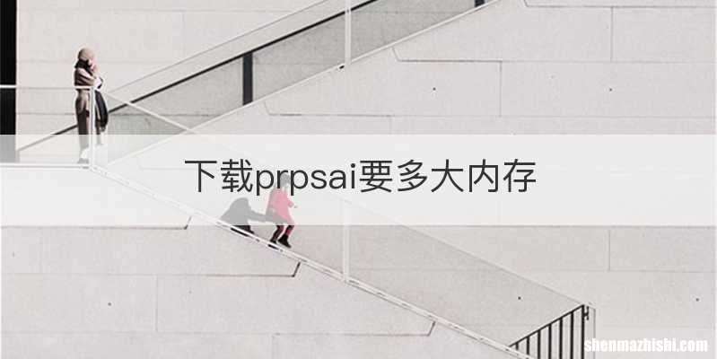 下载prpsai要多大内存