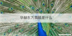 华赫东方商城是什么