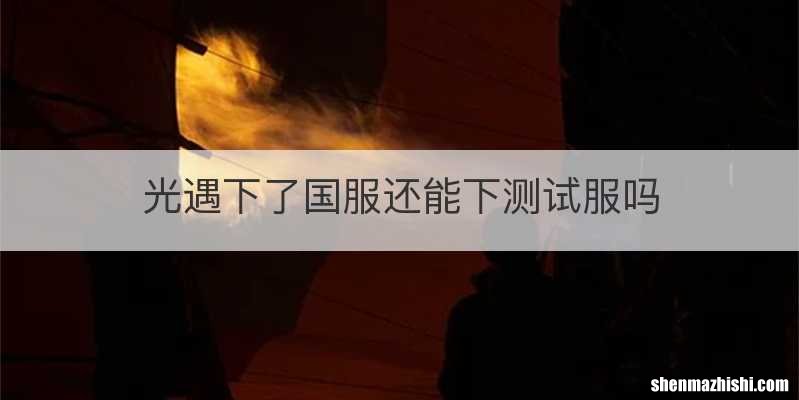 光遇下了国服还能下测试服吗