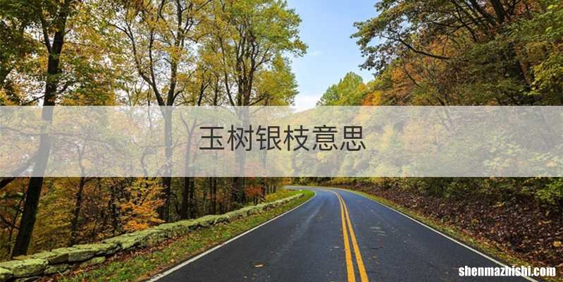 玉树银枝意思