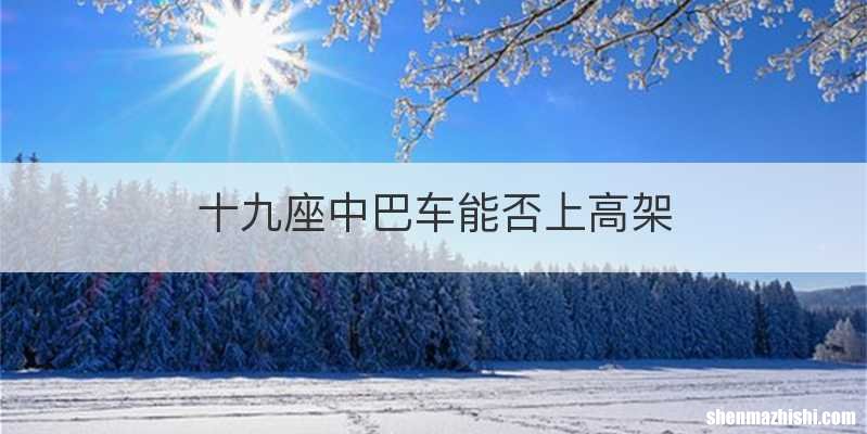 十九座中巴车能否上高架