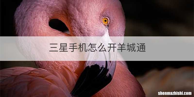 三星手机怎么开羊城通