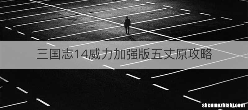 三国志14威力加强版五丈原攻略