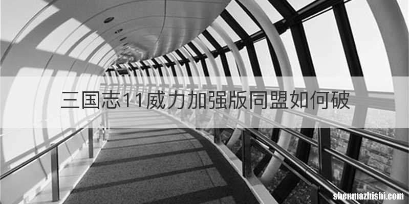 三国志11威力加强版同盟如何破
