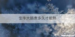 生牛大肠煮多久才能熟