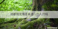 成都到北海走高速一个人行吗
