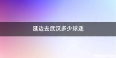 延边去武汉多少球迷