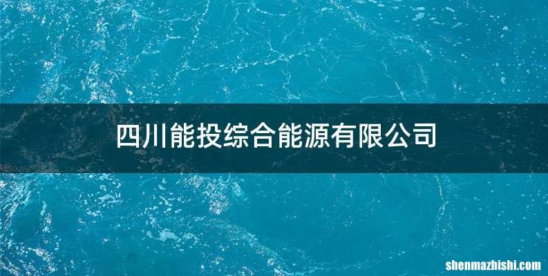 四川能投综合能源有限公司