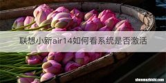 联想小新air14如何看系统是否激活