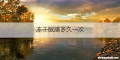 冻干眼膜多久一次