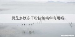 灵芝多肽冻干粉抗皱精华有用吗