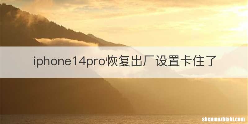 iphone14pro恢复出厂设置卡住了
