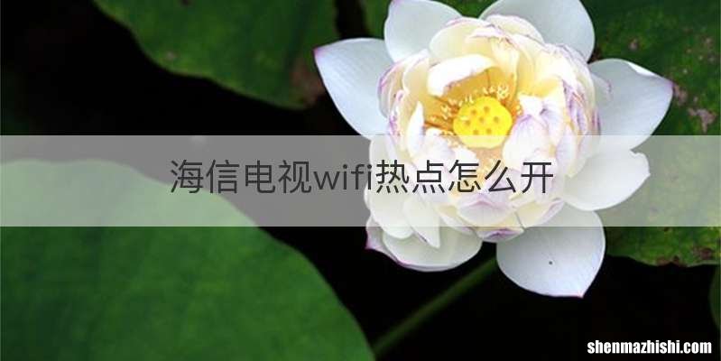 海信电视wifi热点怎么开
