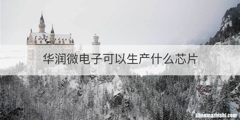 华润微电子可以生产什么芯片