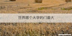世界哪个大学的门最大
