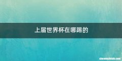 上届世界杯在哪踢的