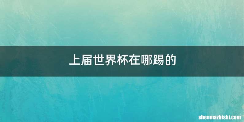 上届世界杯在哪踢的