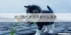幼儿园气质测评是什么意思
