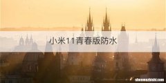 小米11青春版防水