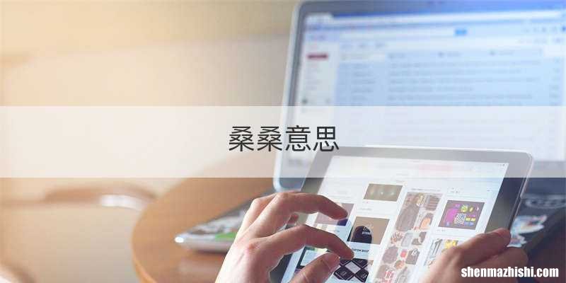 桑桑意思