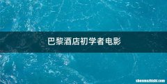 巴黎酒店初学者电影
