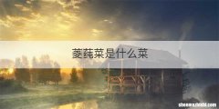 菱莼菜是什么菜