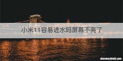 小米11容易进水吗屏幕不亮了
