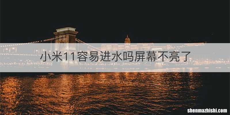 小米11容易进水吗屏幕不亮了