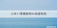 小米11青春版有fm收音机吗
