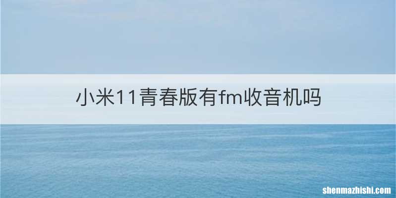 小米11青春版有fm收音机吗