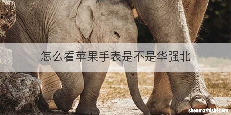 怎么看苹果手表是不是华强北