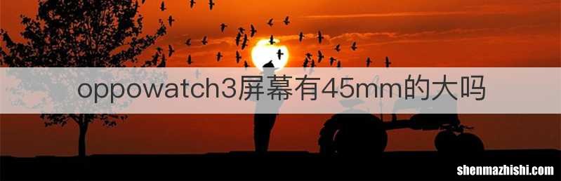 oppowatch3屏幕有45mm的大吗