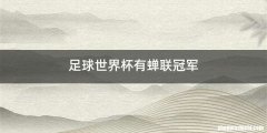 足球世界杯有蝉联冠军