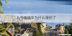 九号电动车为什么涨价了