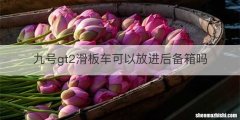 九号gt2滑板车可以放进后备箱吗