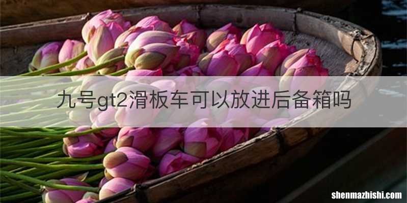 九号gt2滑板车可以放进后备箱吗