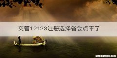 交管12123注册选择省会点不了
