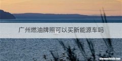 广州燃油牌照可以买新能源车吗