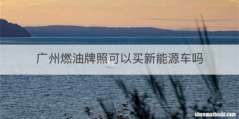 广州燃油牌照可以买新能源车吗