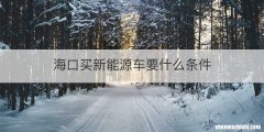 海口买新能源车要什么条件