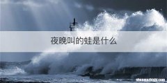 夜晚叫的蛙是什么