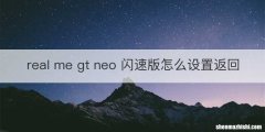 real me gt neo 闪速版怎么设置返回