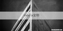 msv/a全称