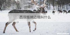 西双版纳边境叫什么
